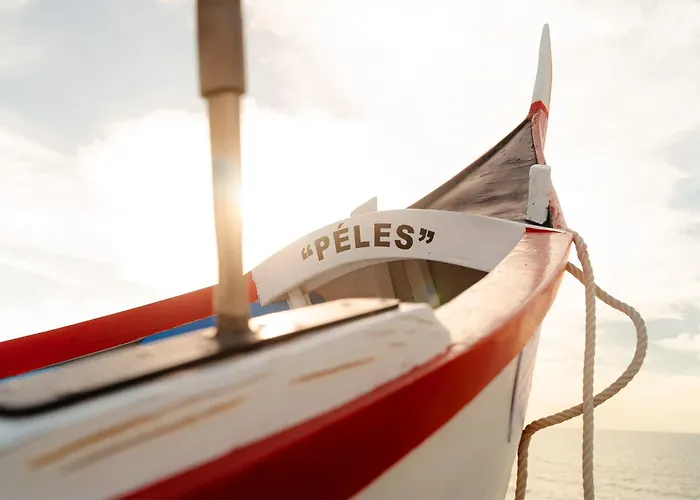 Shellter By The Sea דירה