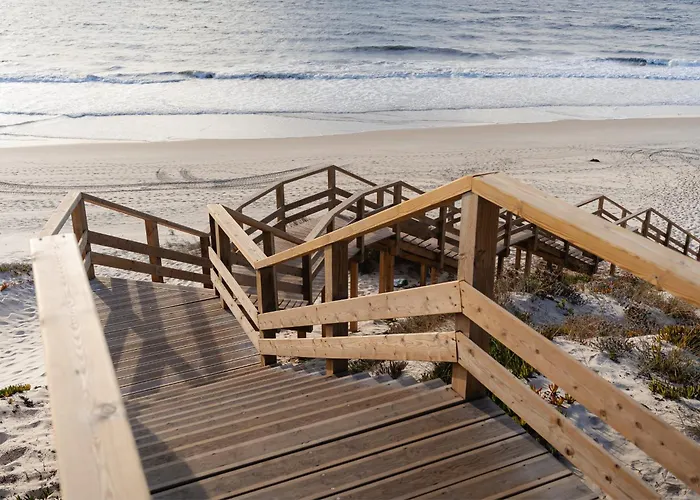 דירה Shellter By The Sea ויירה דה לייריה