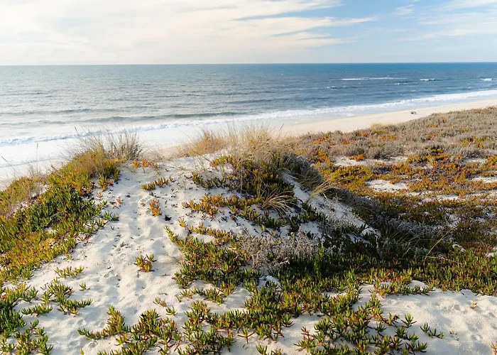 Shellter By The Sea ויירה דה לייריה